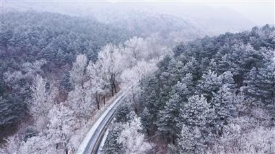 凝心聚力促发展 提质强能谱新篇——重庆路特勤站2023年工作侧记